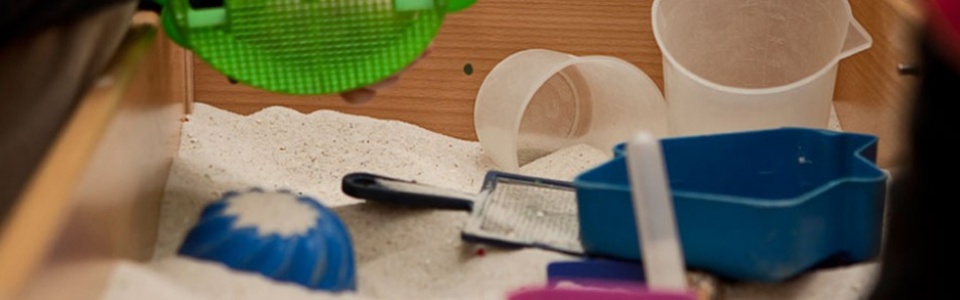 $galleryItem->description