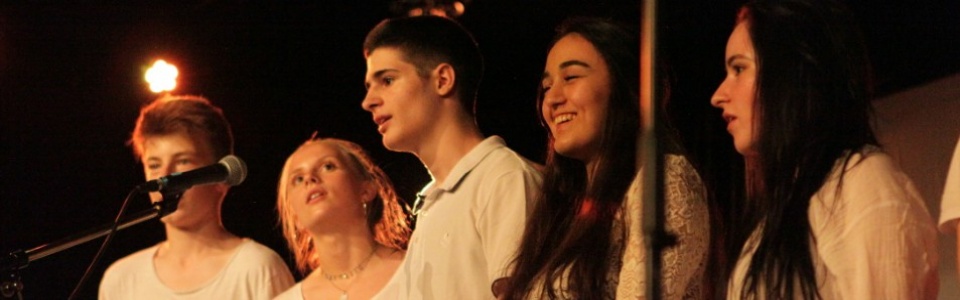 $galleryItem->description