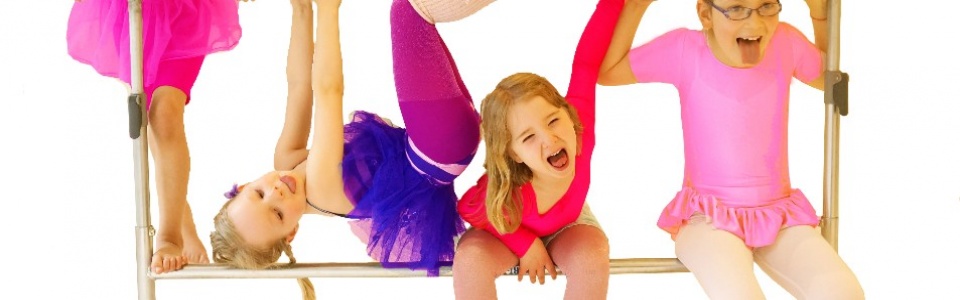 $galleryItem->description