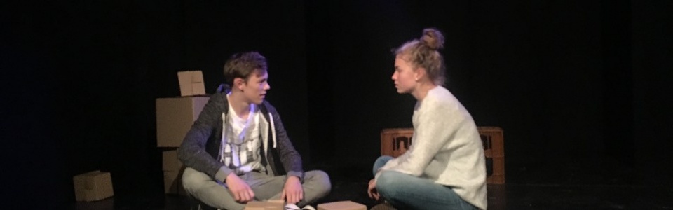 $galleryItem->description