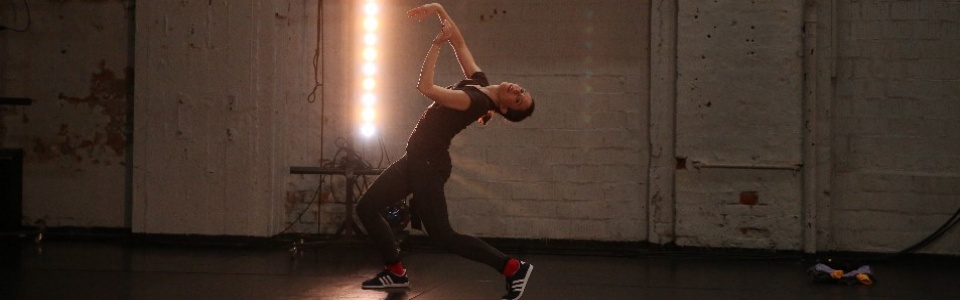 $galleryItem->description