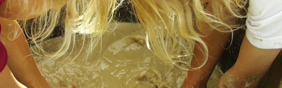 $galleryItem->description