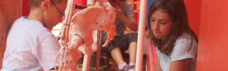 $galleryItem->description