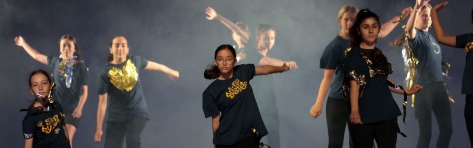 $galleryItem->description