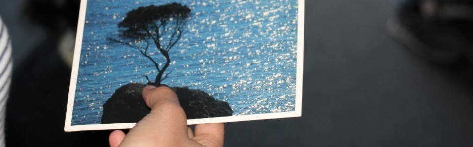 $galleryItem->description