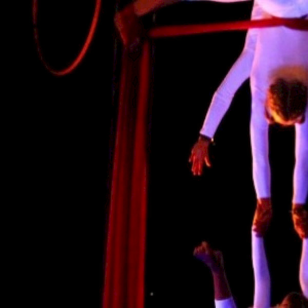 Circusschule Die Rotznasen e.V.