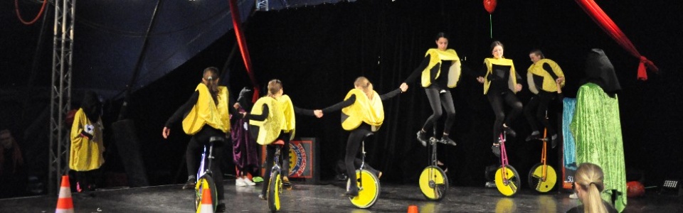 $galleryItem->description