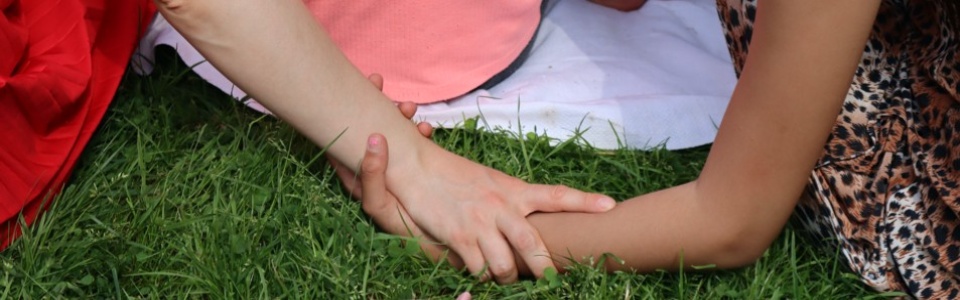 $galleryItem->description