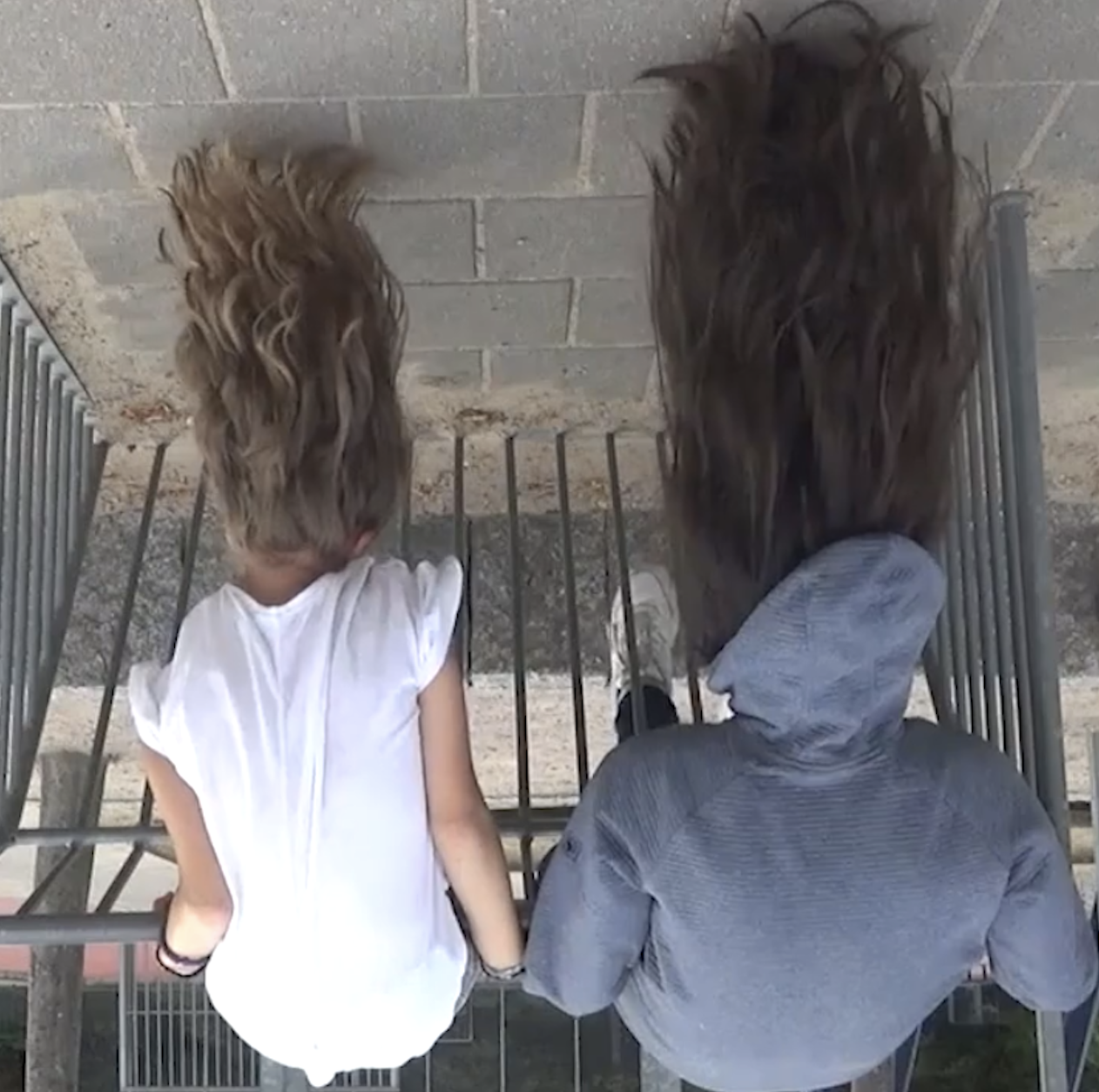 $galleryItem->description