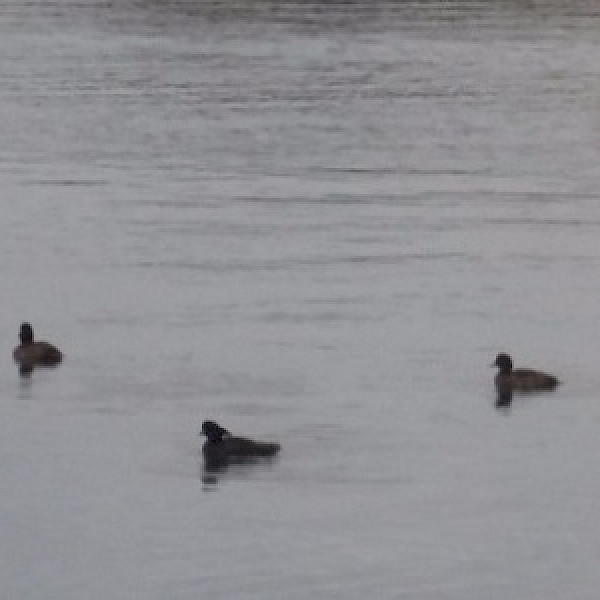 Eine Frage der Perspektive