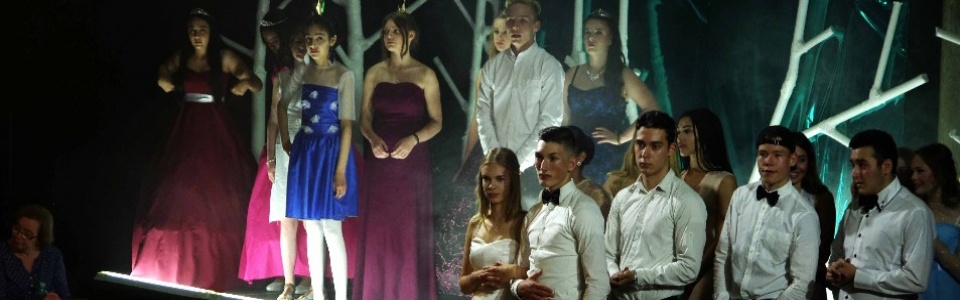 $galleryItem->description