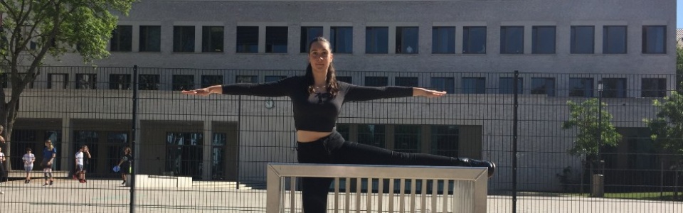 $galleryItem->description