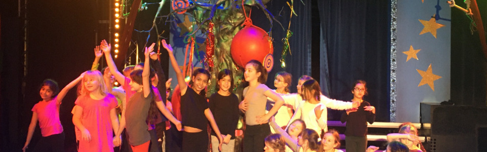 $galleryItem->description