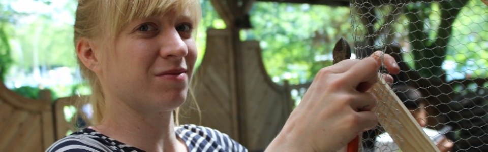 $galleryItem->description