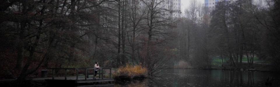 $galleryItem->description