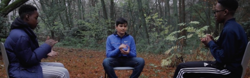 $galleryItem->description