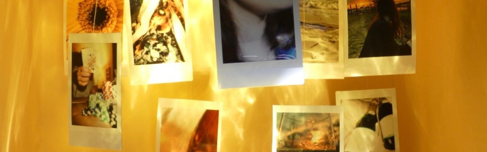 $galleryItem->description