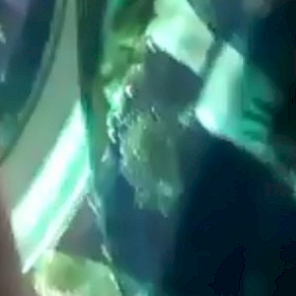 2. OHStival – #erLEBEdieWELT!