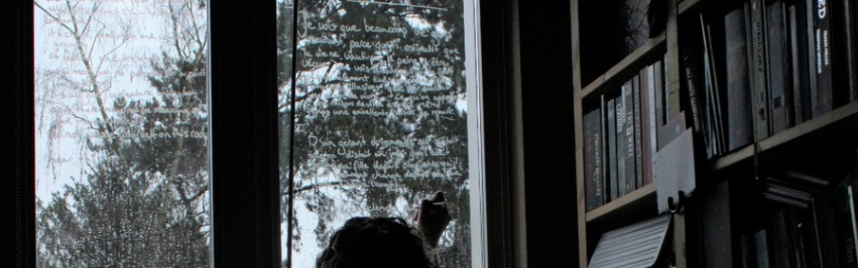 $galleryItem->description