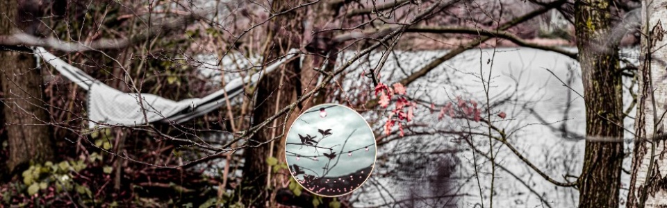 $galleryItem->description