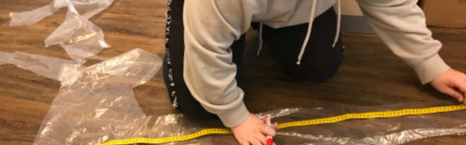 $galleryItem->description