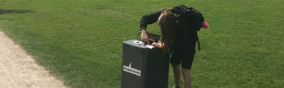 $galleryItem->description