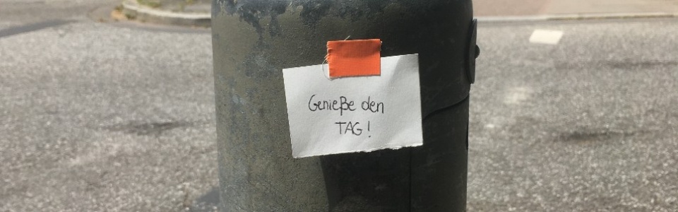 $galleryItem->description