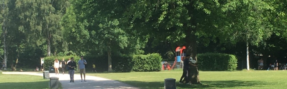 $galleryItem->description