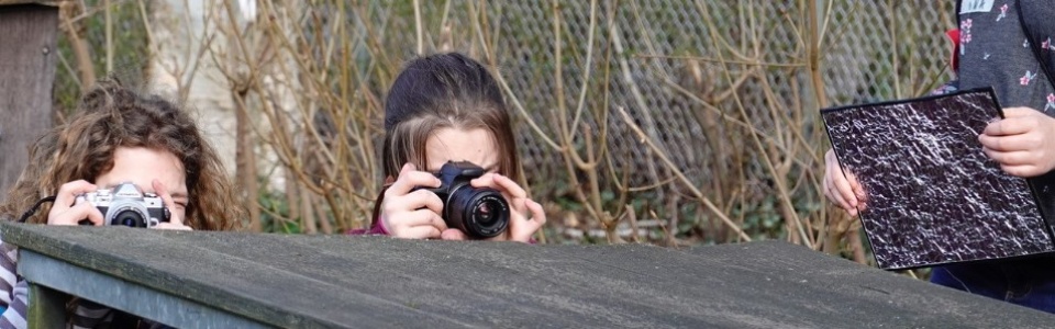 $galleryItem->description