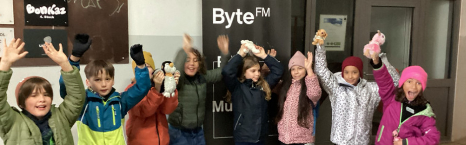 $galleryItem->description