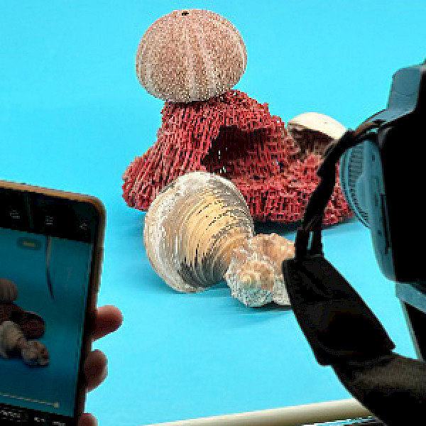 Universum KKG expanded